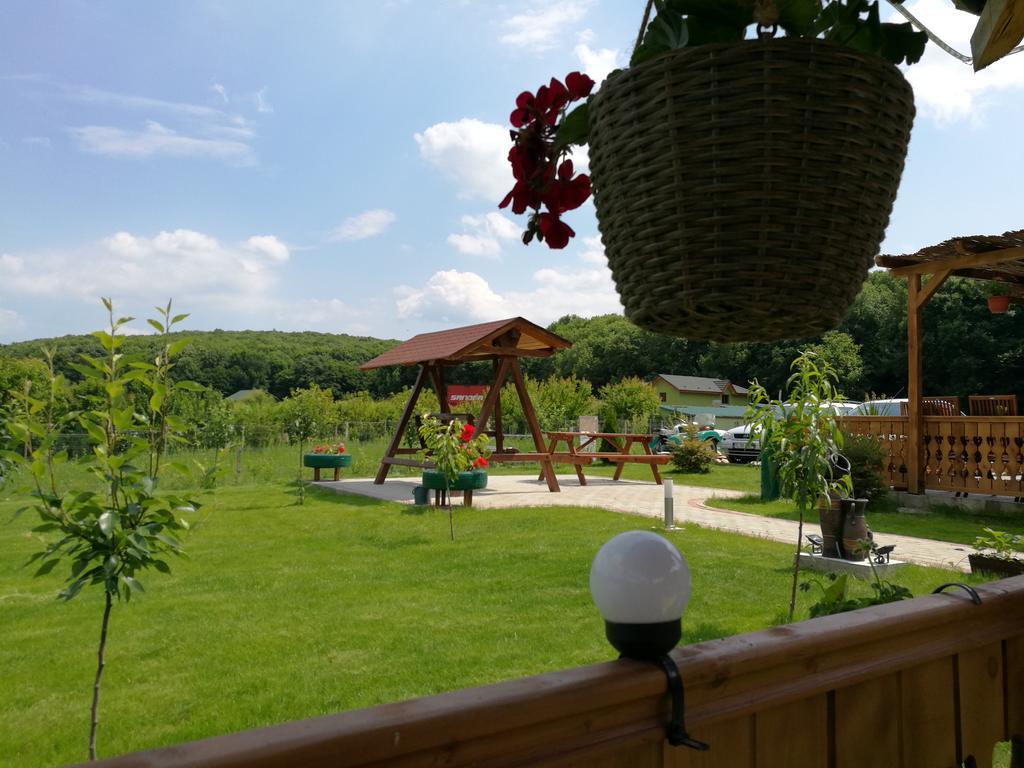 Agropensiunea Valea Fagilor Luncavita エクステリア 写真