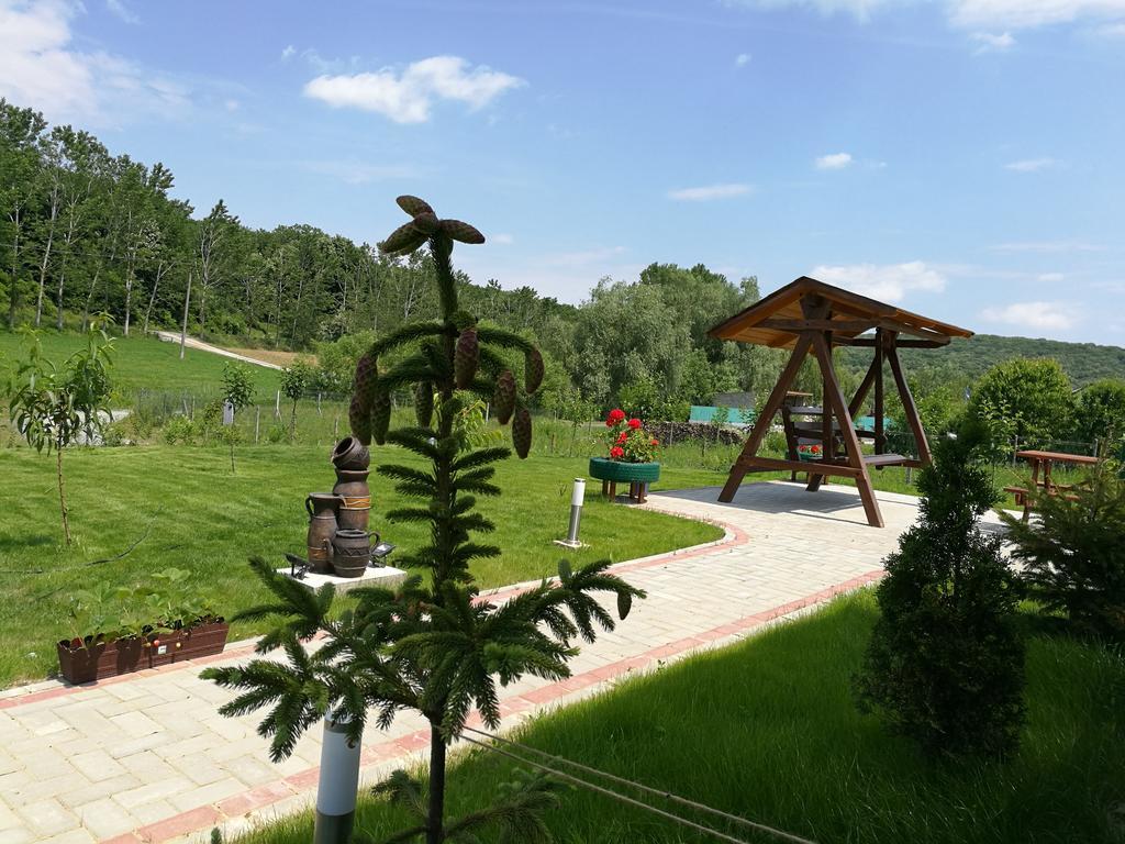 Agropensiunea Valea Fagilor Luncavita エクステリア 写真