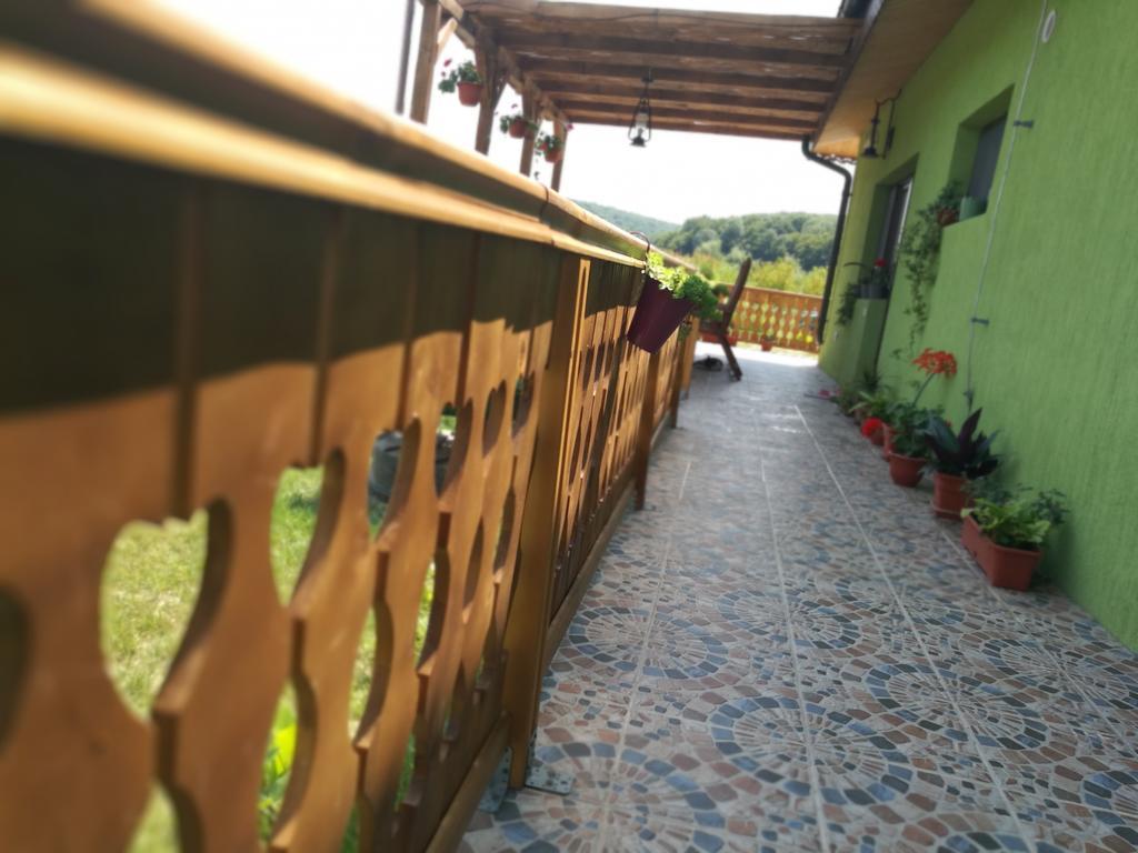 Agropensiunea Valea Fagilor Luncavita エクステリア 写真