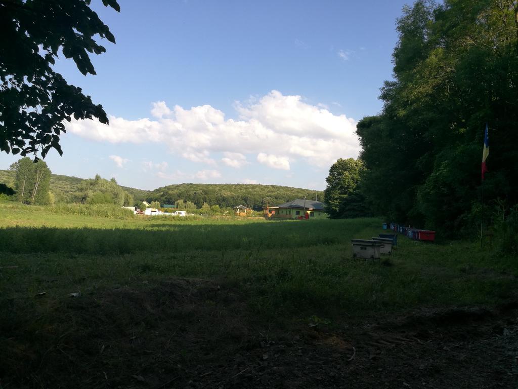 Agropensiunea Valea Fagilor Luncavita エクステリア 写真