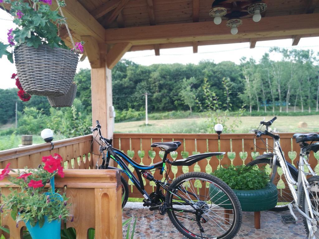 Agropensiunea Valea Fagilor Luncavita エクステリア 写真