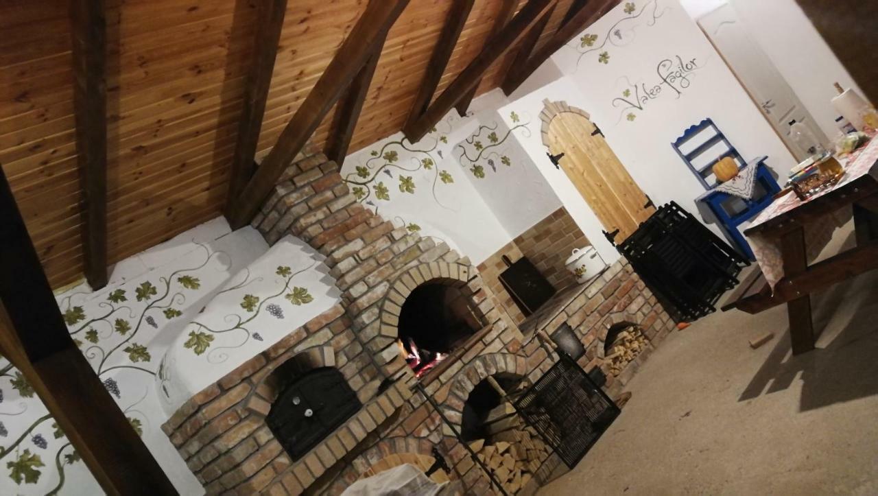 Agropensiunea Valea Fagilor Luncavita エクステリア 写真