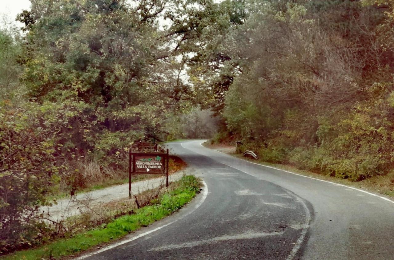 Agropensiunea Valea Fagilor Luncavita エクステリア 写真